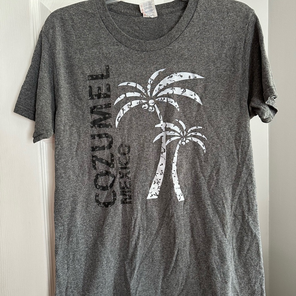 Gray Cozumel Graphic T-Shirt